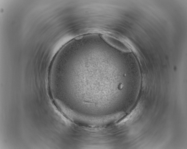 X0000089701048200706211313