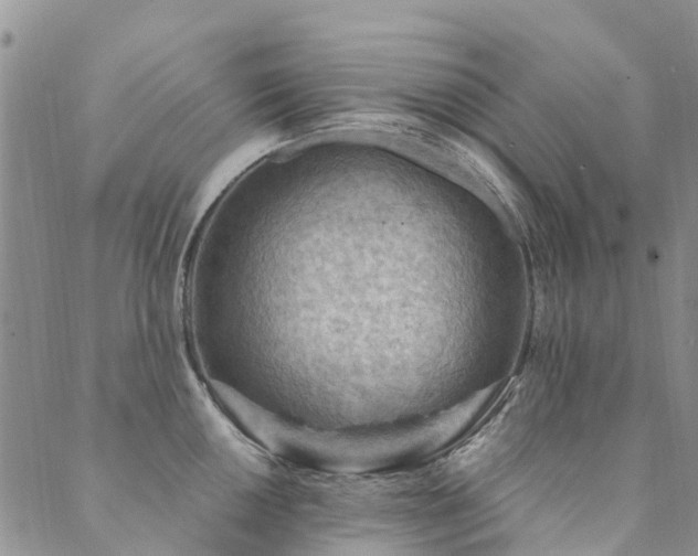 X0000089701050200706211313