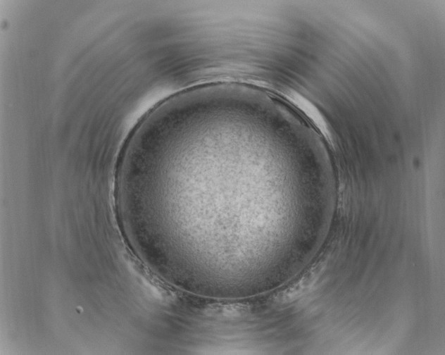 X0000089701051200706211313