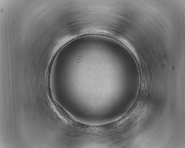 X0000089701053200706211313