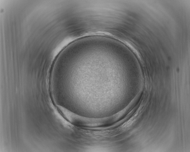 X0000089701054200706211313