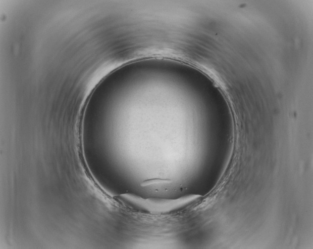 X0000089701056200706211313