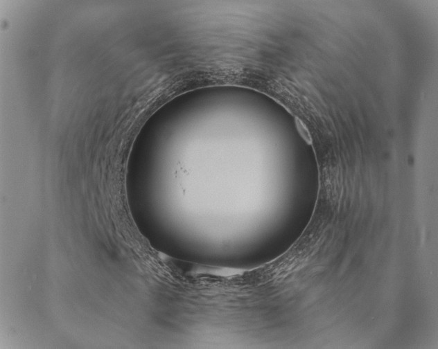 X0000089701057200706211312