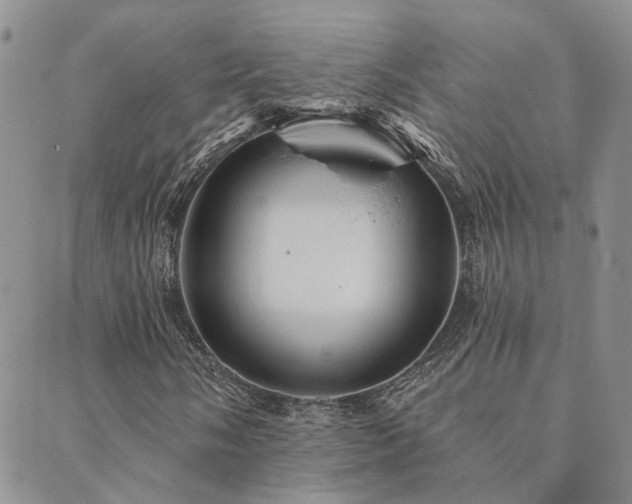 X0000089701058200706211312