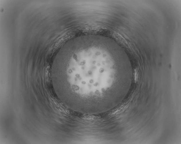 X0000089701059200706211312