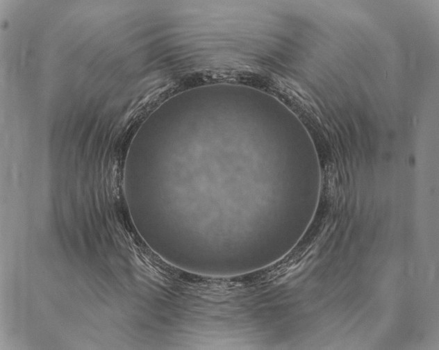 X0000089701060200706211312