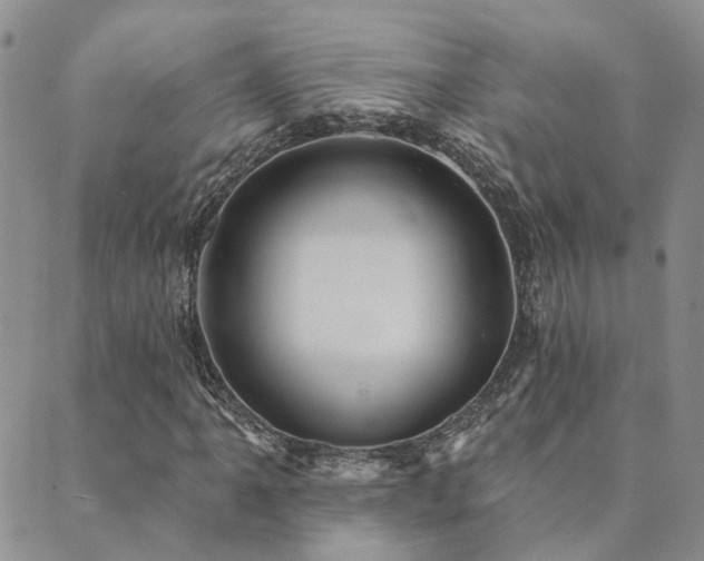 X0000089701061200706211312