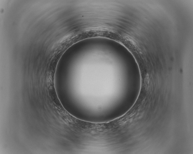 X0000089701062200706211312