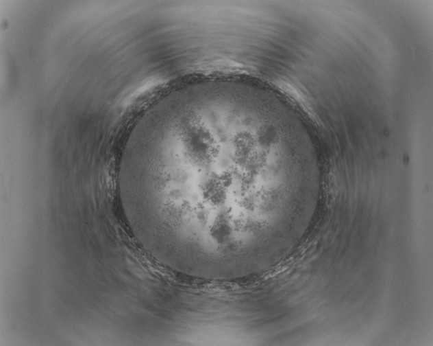 X0000089701063200706211312