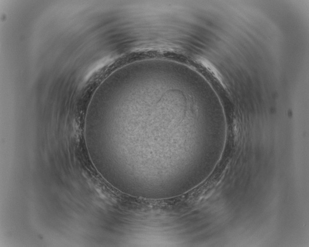 X0000089701064200706211312