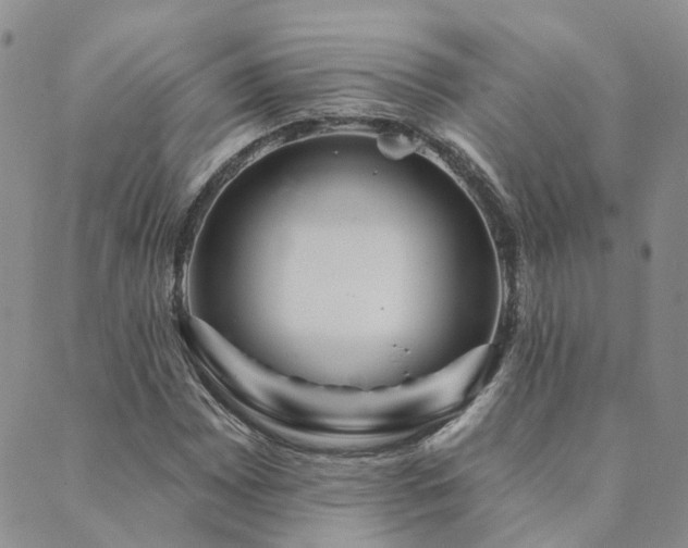 X0000089701065200706211312