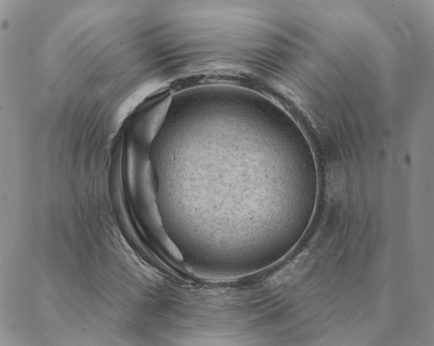 X0000089701066200706211312