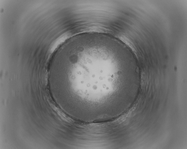 X0000089701067200706211312