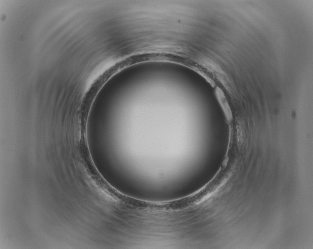 X0000089701069200706211312