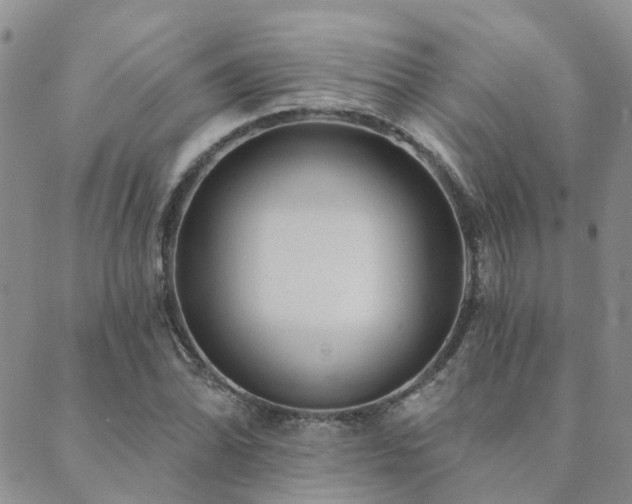 X0000089701070200706211312