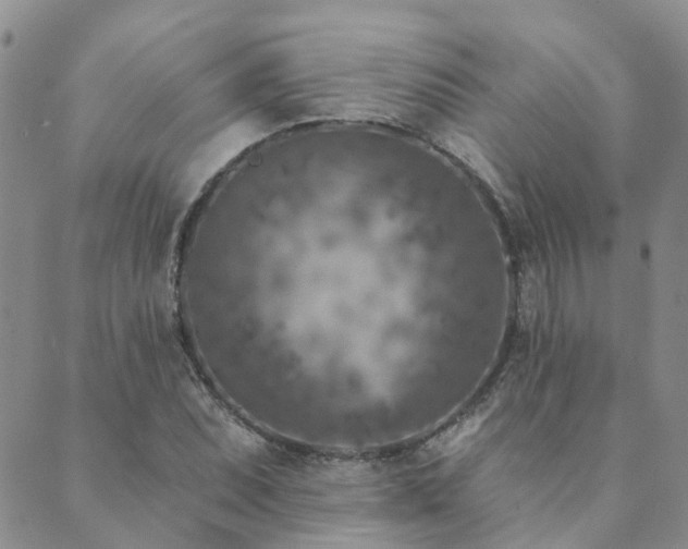 X0000089701071200706211312