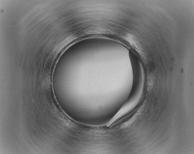 X0000089701073200706211312