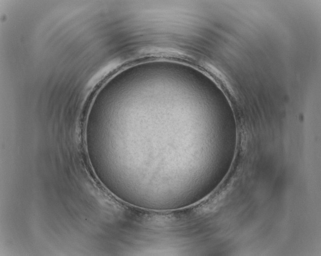 X0000089701074200706211312