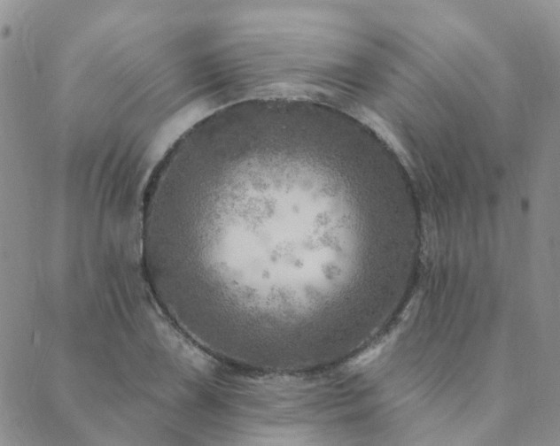 X0000089701075200706211312