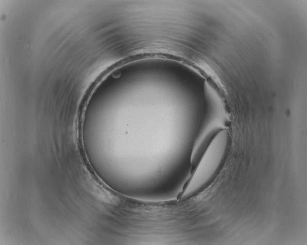 X0000089701076200706211312