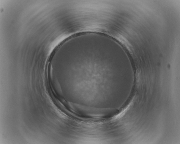 X0000089701077200706211312