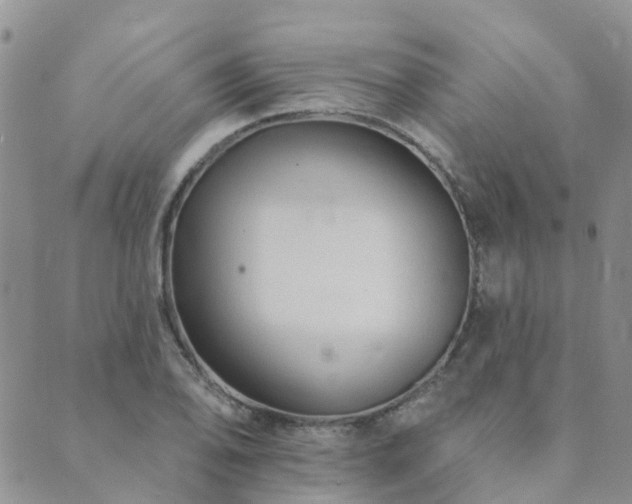 X0000089701078200706211312