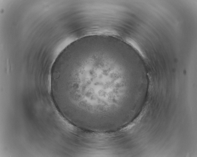 X0000089701079200706211312