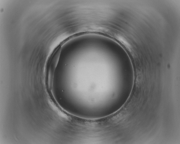 X0000089701080200706211312