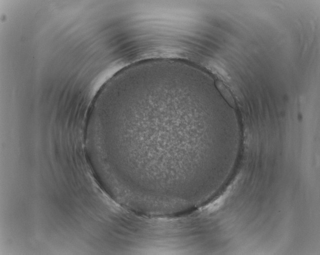 X0000089701081200706211312