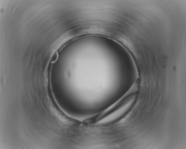 X0000089701082200706211312