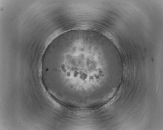 X0000089701083200706211312