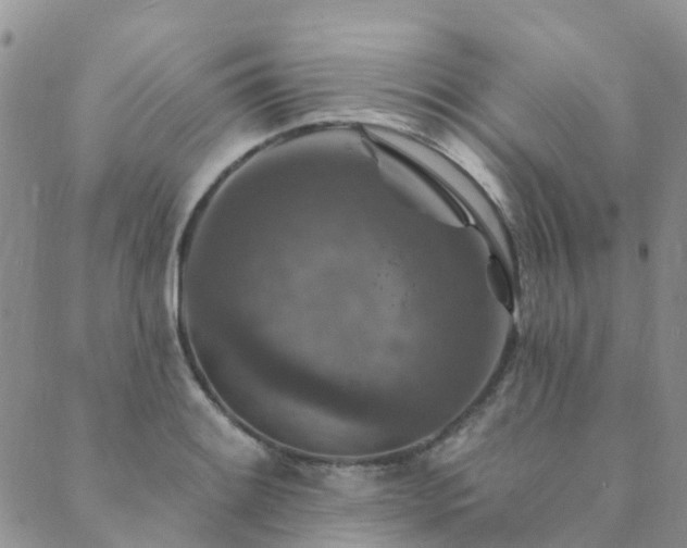 X0000089701084200706211312