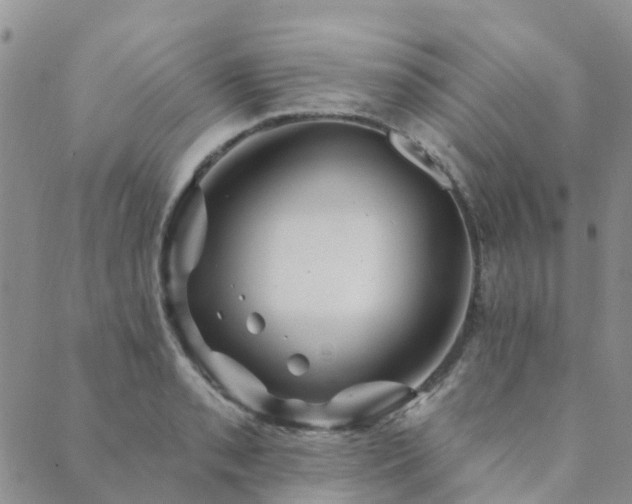 X0000089701085200706211312