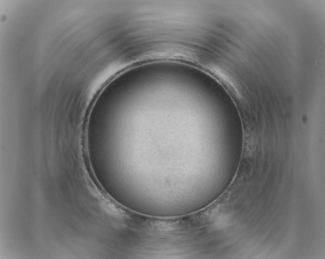 X0000089701086200706211312