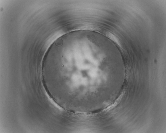 X0000089701087200706211312