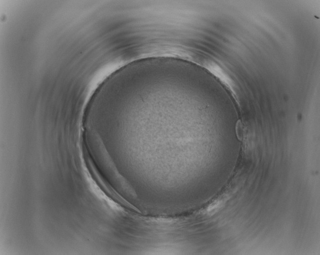 X0000089701088200706211312