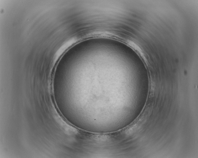 X0000089701090200706211312