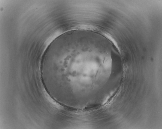 X0000089701091200706211312