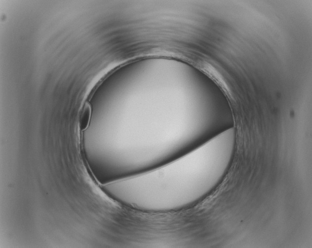 X0000089701092200706211312