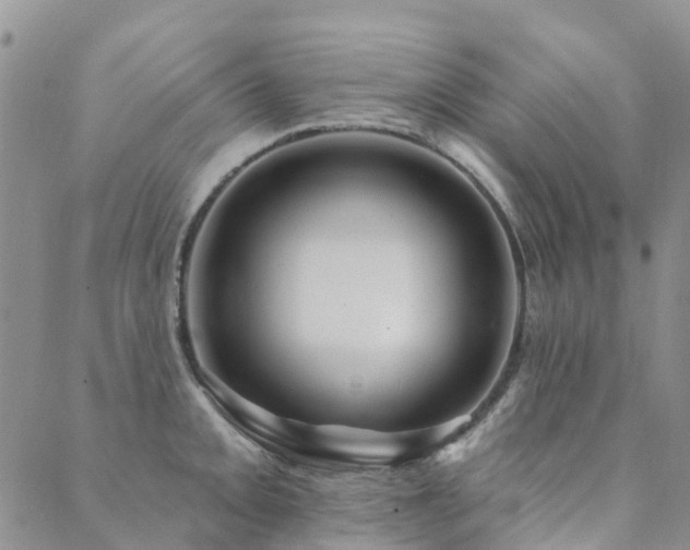 X0000089701093200706211312