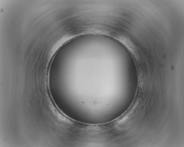 X0000089701094200706211312