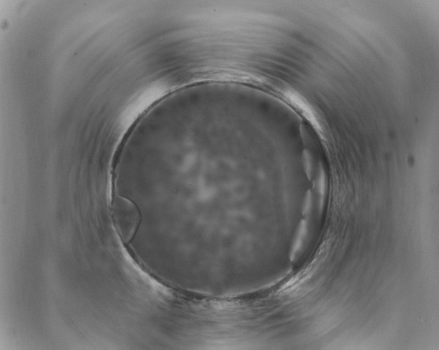 X0000089701095200706211312