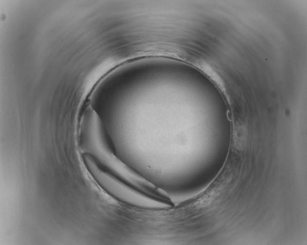 X0000089701096200706211312