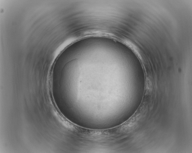 X0000089701098200706211312