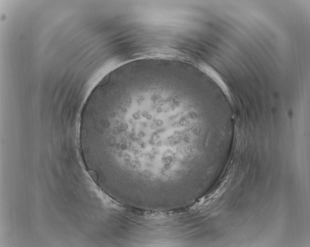 X0000089701099200706211312