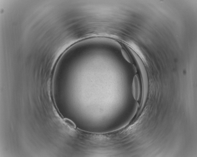 X0000089701100200706211311