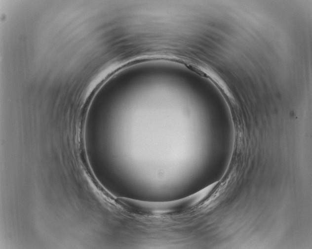 X0000089701101200706211311