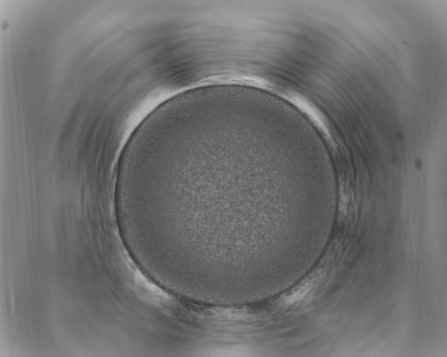 X0000089701102200706211311