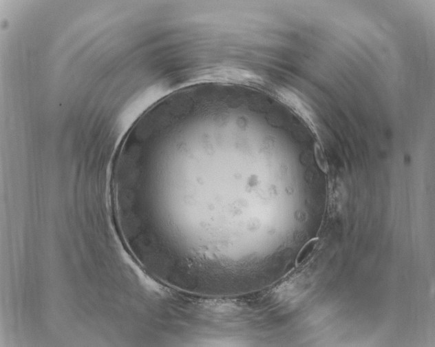 X0000089701103200706211311