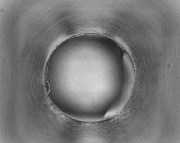 X0000089701104200706211311